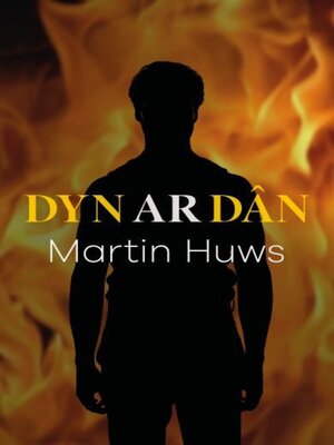 cover image of Dyn ar Dân